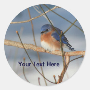 Winter Bluebird Animal Sticker