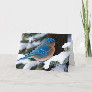 Winter Bluebird Card