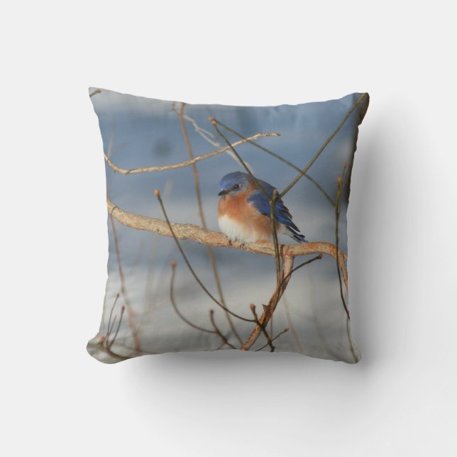 Winter Bluebird   Cushion (Front)