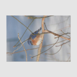 Winter Bluebird Decoupage Tissue Paper