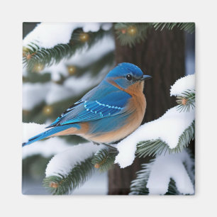 Winter Bluebird Magnet
