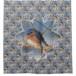 Winter Bluebird Nature Bird Art Pattern  Shower Curtain