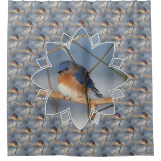 Winter Bluebird Nature Bird Art Pattern  Shower Curtain