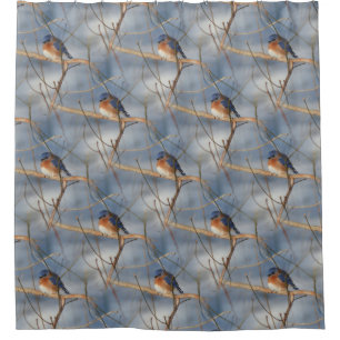 Winter Bluebird Nature Bird Art Pattern  Shower Curtain