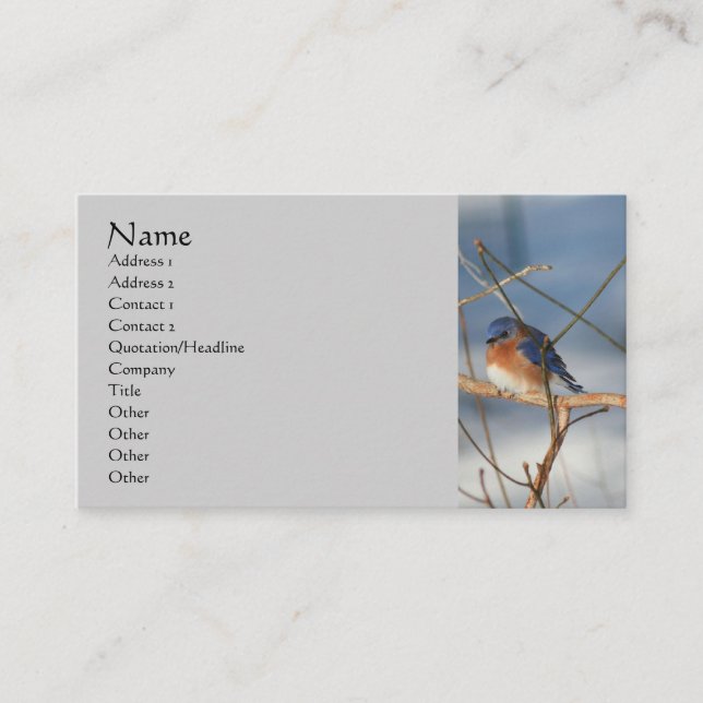 Winter Bluebird Nature Business Card (Front)