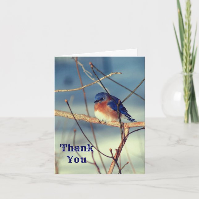 Winter Bluebird Nature Customisable Thank You Card (Front)