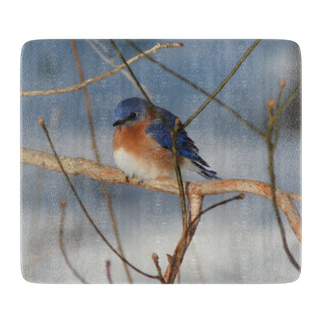 Winter Bluebird Nature  Cutting Board (Front)