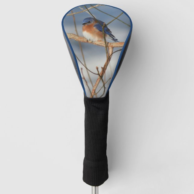 Winter Bluebird Nature Golf Head Cover (Front)