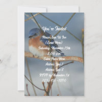 Winter Bluebird Nature Party