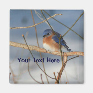 Winter Bluebird Personalised Animal Magnet