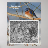 Winter Bluebird Personalised Create Your Own Photo