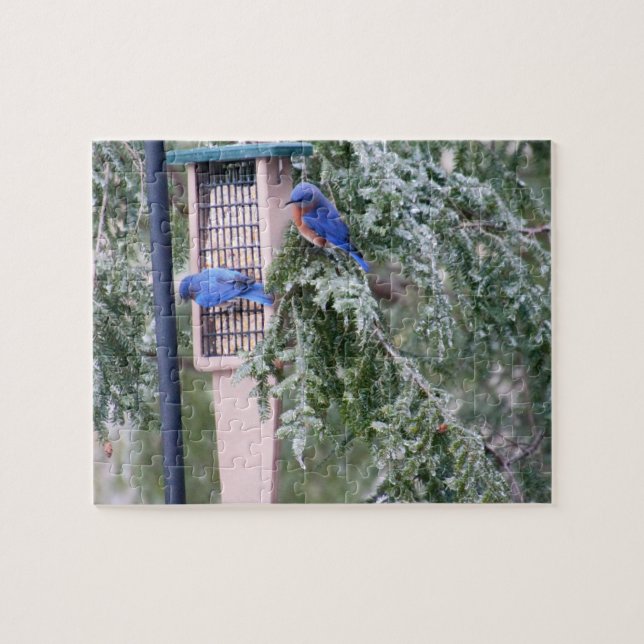 Winter Bluebirds Jigsaw Puzzle (Horizontal)
