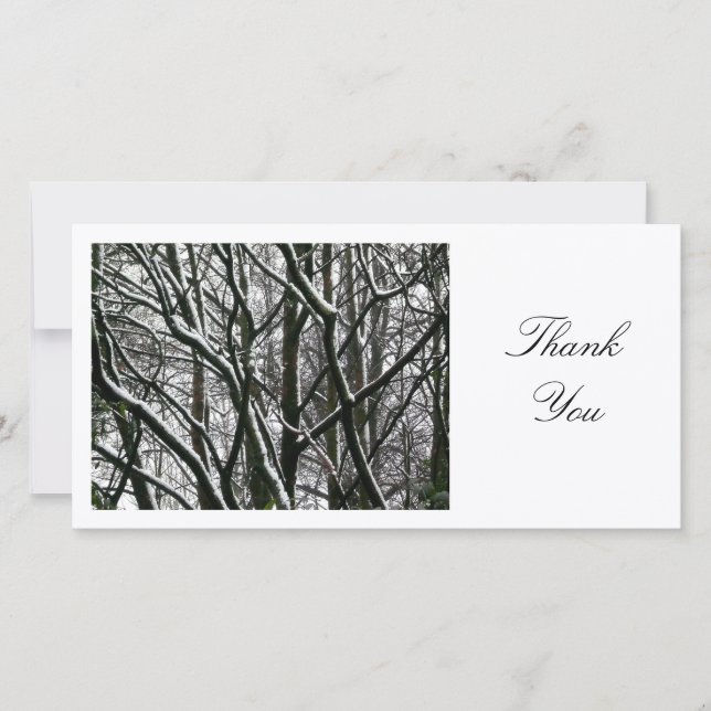 Winter Branches - Thank You (Front)
