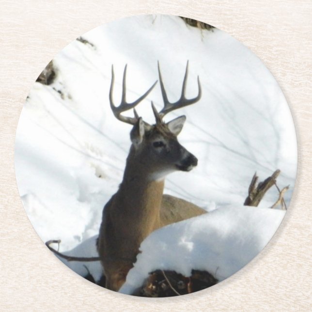 Winter Buck Coaster (Front)