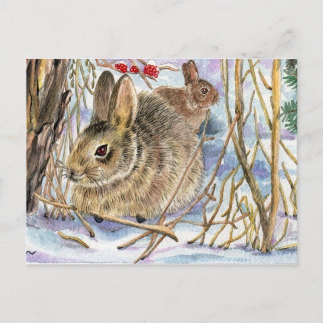 Winter Bunnies Postcard (Front)