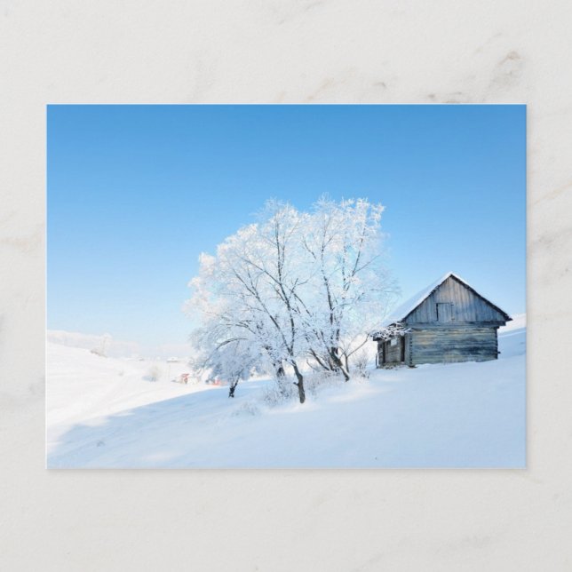 Winter Cabin Landscape Postcard (Front)