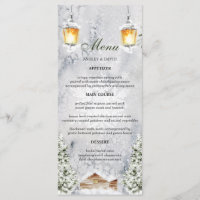 Winter Cabin Rustic Snow Scene Wedding