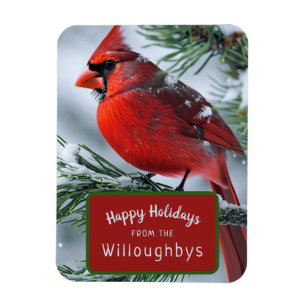 Winter Cardinal Bird Christmas Holiday Greetings Magnet