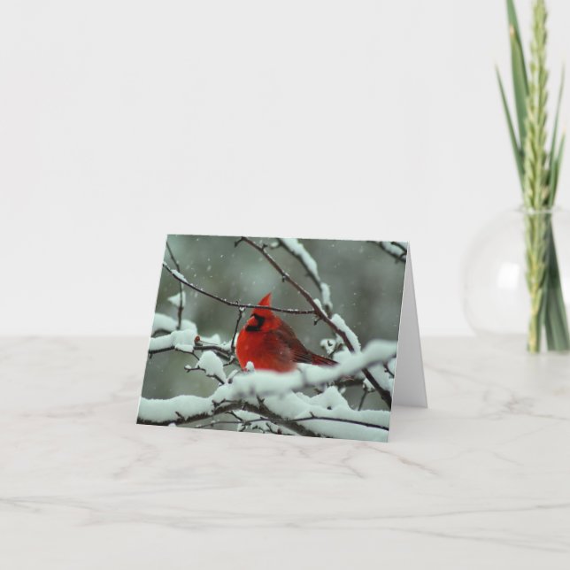 Winter  Cardinal - Customised Card (Front)