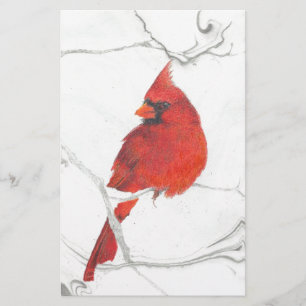 Winter Cardinal Drawing Stationery