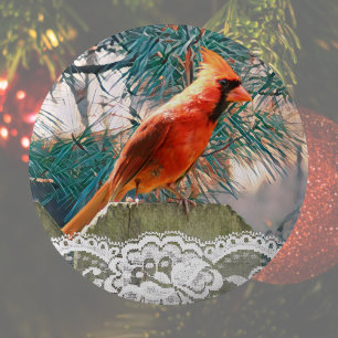 Winter Cardinal Festive 6 Cm Round Badge