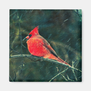 Winter Cardinal in Snowstorm - Enhanced Magnet