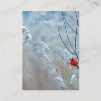 Winter Cardinal RSVP Postcard