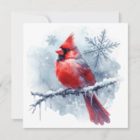 Winter Cardinal with Snowflakes on Icy Branch
