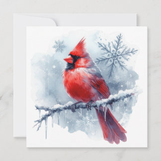 Winter Cardinal with Snowflakes on Icy Branch Card