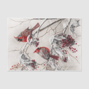 Winter cardinals tissue paper