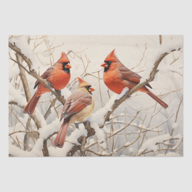 Winter Cardinals Tissue Paper (Front)