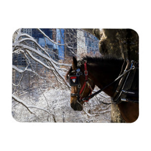 Winter Carriage Horse Magnet