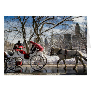 Winter Carriage Horses in Central Park