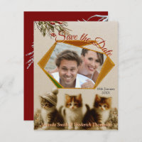 Winter Celebrations in the Snow, with Kittens