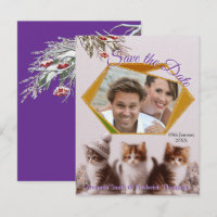 Winter Celebrations in the Snow, with Kittens
