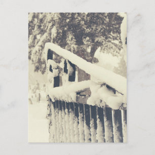 Winter Cemetary Gate Postcard