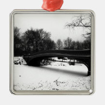 Winter Centeral Park NYC.