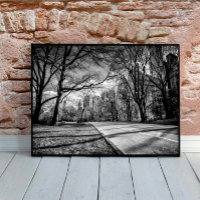 Winter Central Park New York City Black and White