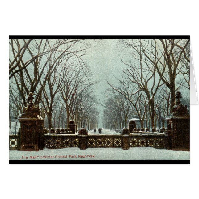 Winter Central Park NY Vintage c1910 (Front Horizontal)