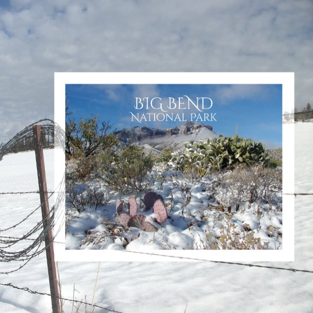 Winter, Chisos Mountains, Big Bend National Park Postcard (Creator Uploaded)