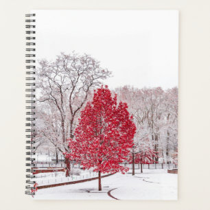 winter christmas 89 planner
