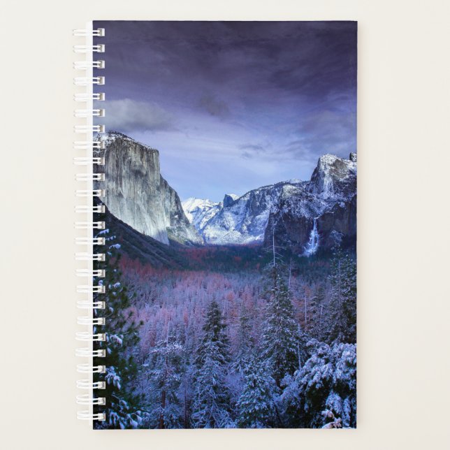 winter christmas 94 planner (Front)