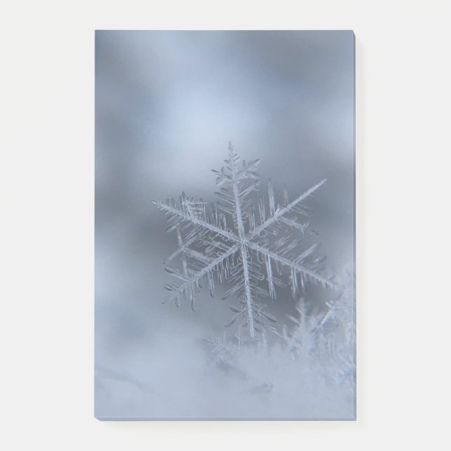 winter christmas 97 post-it notes (Front)