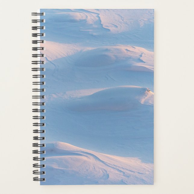 winter christmas 98 planner (Front)