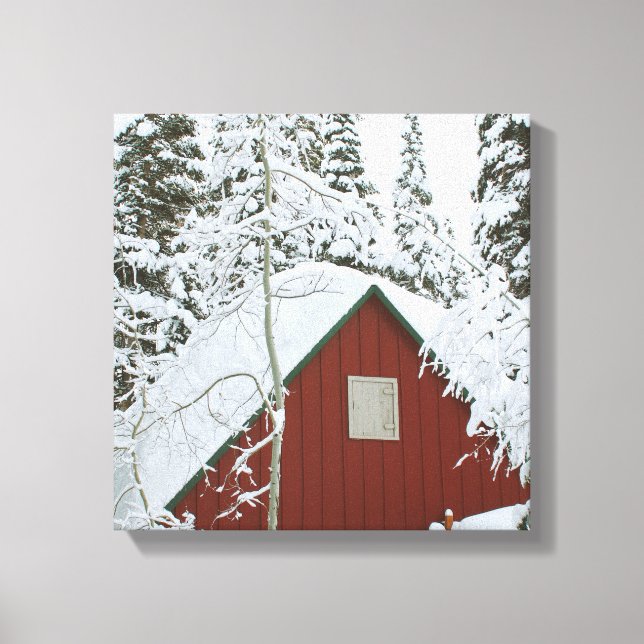 winter christmas 99 canvas print (Front)