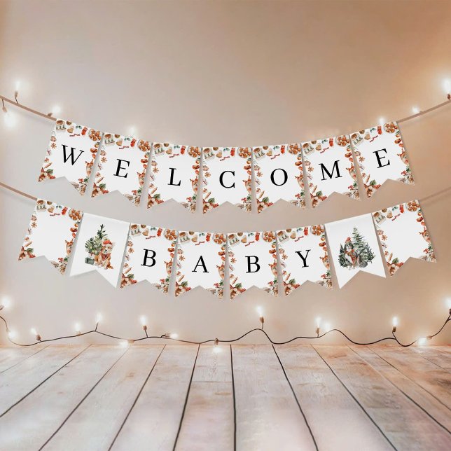 Winter Christmas Baby Shower Bunting Banner (Creator Uploaded)