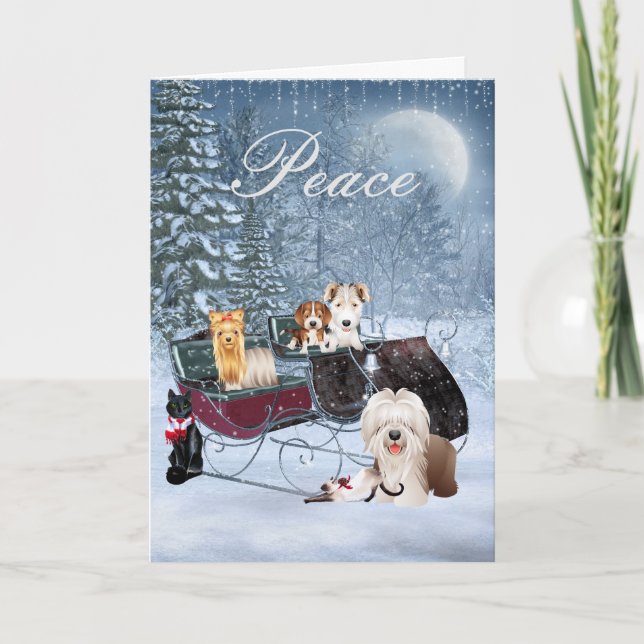 Winter Christmas Card with Dogs, Cats, Puppies (Front)