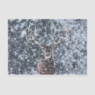 Winter Christmas Snow Deer Tissue Paper