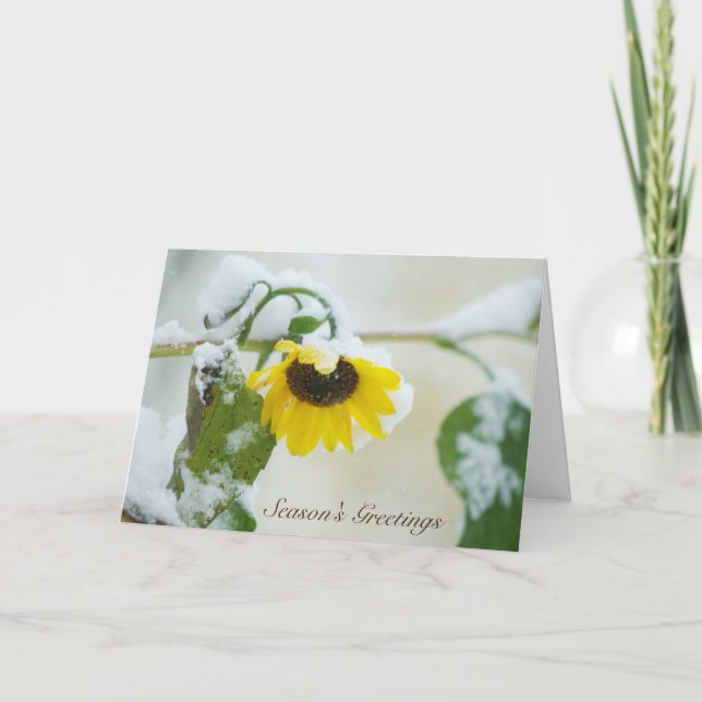 Winter Christmas Sunflower Early Holiday Snow Card (Front)