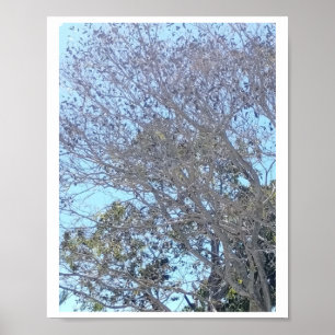 Winter Christmas White Tree Branches With Leaves S Poster